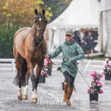 Ros Canter & Izilot DHI, 1st Horse Inspection © Hannah Cole