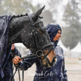 Caroline Moore & Pencos Crown Jewel, 1st Horse Inspection © Hannah Cole