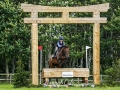 Ros Canter & Lordships Graffalo, Cholmondeley, 2020 © Hannah Cole