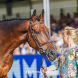 Rosalind Canter &  Lordships Graffalo, Burghley  © Hannah Cole