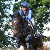 Pencos Crown Jewel, 7YOs, Osberton 2016: Photo Fiona Scott-Maxwell