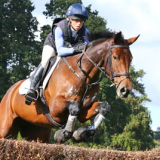 Mermus R Diamonds, 6YOs, Osberton 2016: Photo Fiona Scott-Maxwell