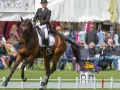 Allstar B at Chatsworth 2015: Photo Trevor Holt