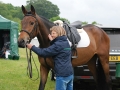 Lordships Graffalo at Houghton BYEH: Photo Charlie Benton