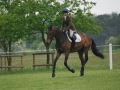 Lordships Graffalo at Houghton BYEH: Photo Charlie Benton